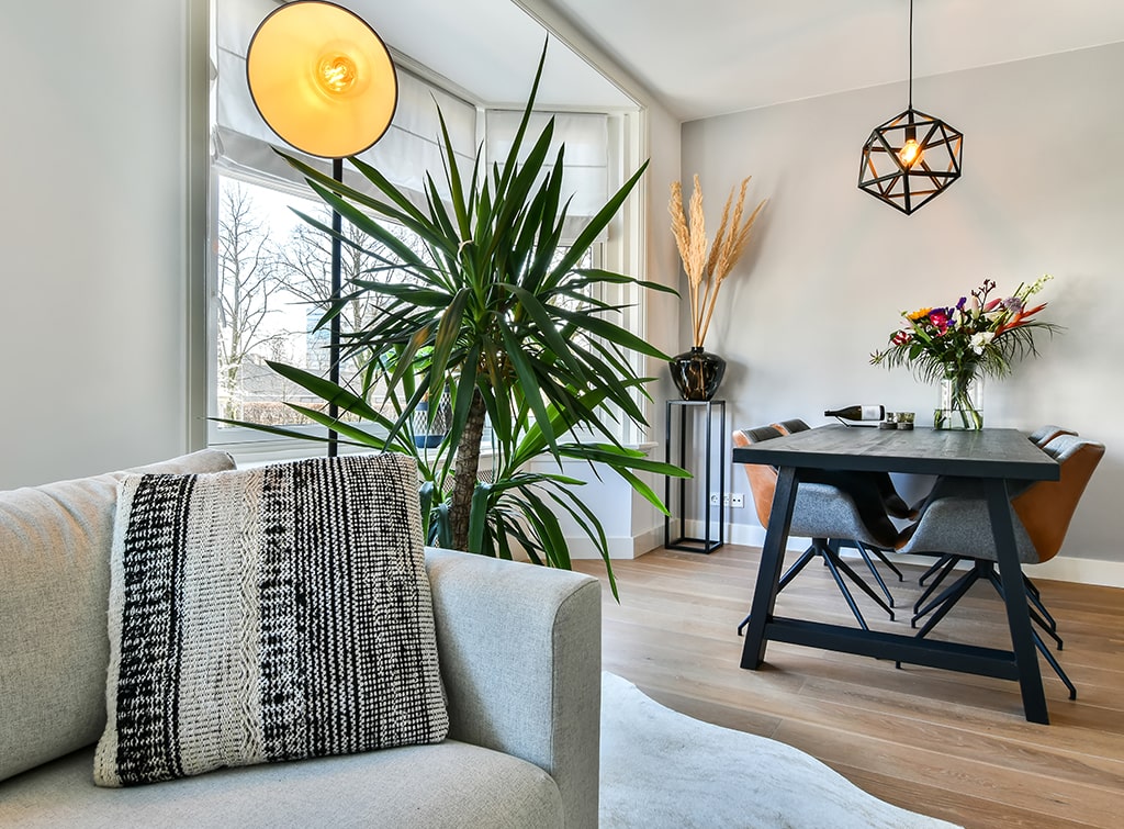 potted-plant-table-home-min